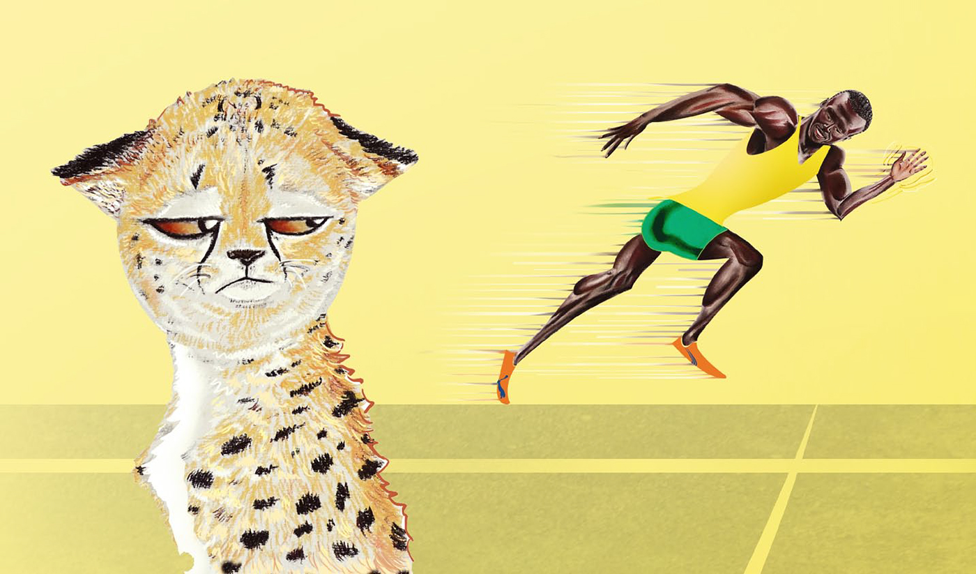 Usain Bolt versus a cheetah